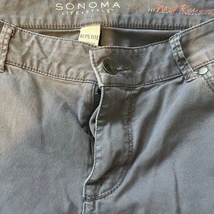 Sonoma_10 Petite_Gray Pants